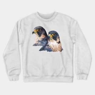 Peregrine falcon Crewneck Sweatshirt